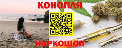 сатива Бузулук