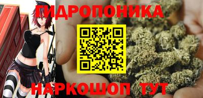 сатива Бузулук