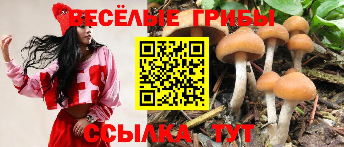 Вейп ТГК Минусинск