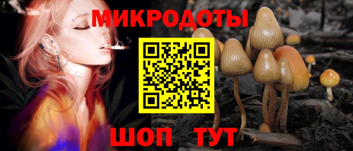 хочу   Вход с VPN  Минусинск  Псилоцибиновые грибы мицелий 